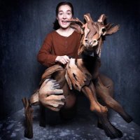 Romina Hytten (@rominahytten) 's Twitter Profile