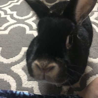 ejnbuzzbuzz's profile picture. 