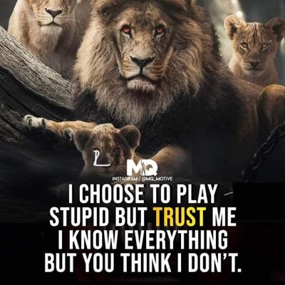 BlackKn74938916's profile picture. Black with a purpose