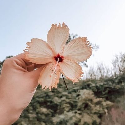 xforniaa's profile picture. let's be moots✨ Follow back yaaaaa