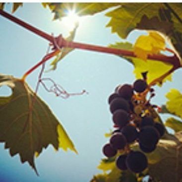 09Far19's profile picture. 