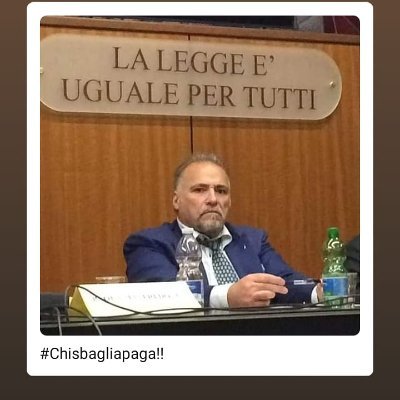 Già Presidente Parchi e Ville Storiche Roma Capitale
Già Delegato all'Ambiente  Rifiuti VI Municipio
Già Consigliere di Amm dell'Università L Da Vinci - Chieti