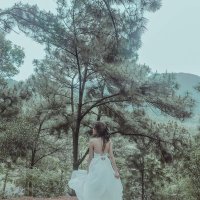 thinh banana (@yyvyjhdlxol9526) 's Twitter Profile