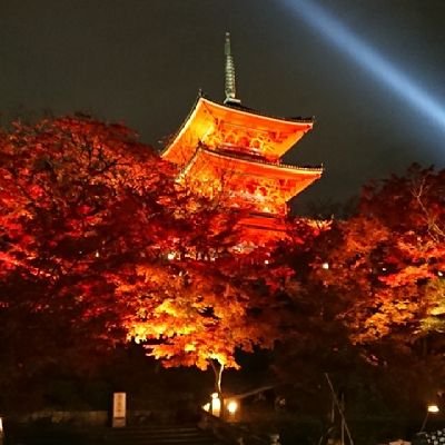 omiya202111's profile picture. 