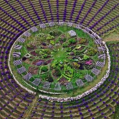 Farmlif28037596's profile picture. Defense Subject Matter Expert 
Organizational Architect/PMeasure
Innovator
Strategic Research & Planning
Military Experience 35 years 
Disruptor 
Entrepreneur