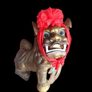 Record the stone lions in Chiayi City, Taiwan.
The man who records the stone lion.