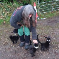 Alison Layland 🏞🌍💚 (@alisonlayland) 's Twitter Profile