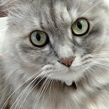 エムエム (@m299684122) 's Twitter Profile Photo