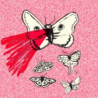 Moth TV (@mothtvhome) 's Twitter Profile