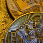 i born to invest in crypto