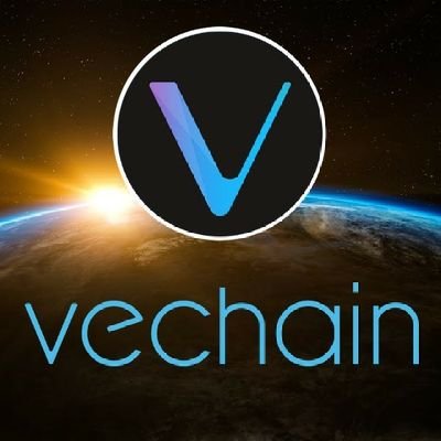 #Vechain # Vet