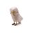 mtcat_cat
