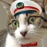 toraneco_travel's profile picture. 約24万人登録「過酷」な鉄道YouTuber🐈サービス介助士取得しました！ マタタビより、また旅へ😻