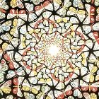 ecoprof (@ecotheory) 's Twitter Profile