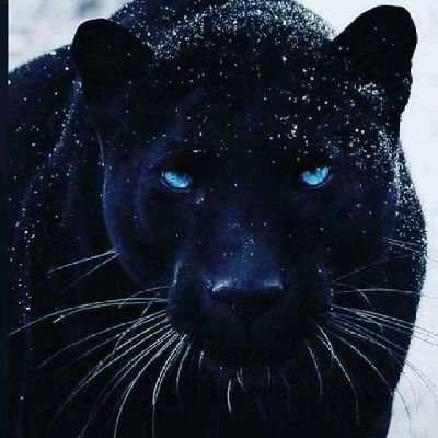 ric45669042's profile picture. Je suis heureux