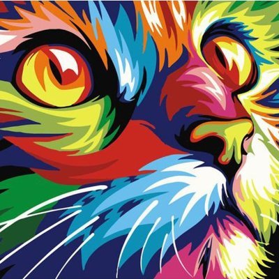 Estudiante | Developer
Aun no se cual sea el siguiente paso