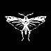 Locust Game (@locustgame) Twitter profile photo Locust Game (@locustgame) Twitter profile photo