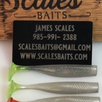 James Scales - @scalesbaits Twitter Profile Photo