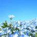 @gimlet2000511