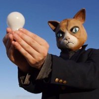 The Rupert Selection (@rupertselection) 's Twitter Profile