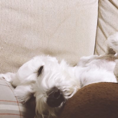 435さんのプロフィール画像