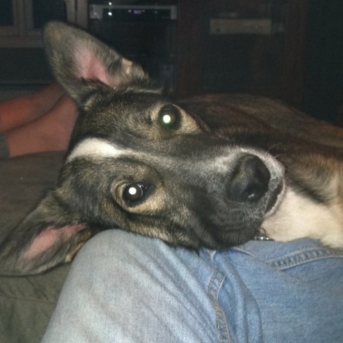 bucherbp's profile picture. 