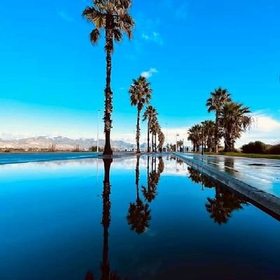 Oriade14TO's profile picture. 🐦🐦