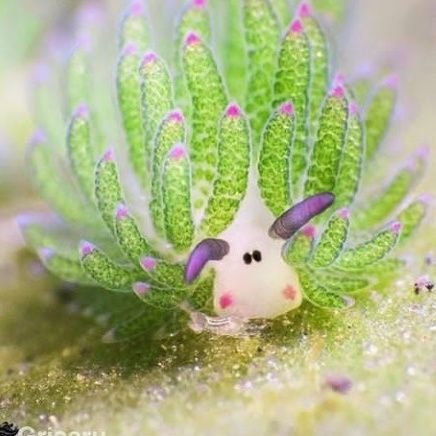 llatania1's profile picture. kadang bucin kadang sambat