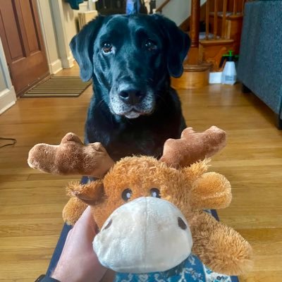 thorin_around's profile picture. Podcast Producer/Creator, Video Editor