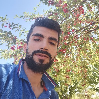 Simscc852813's profile picture. 