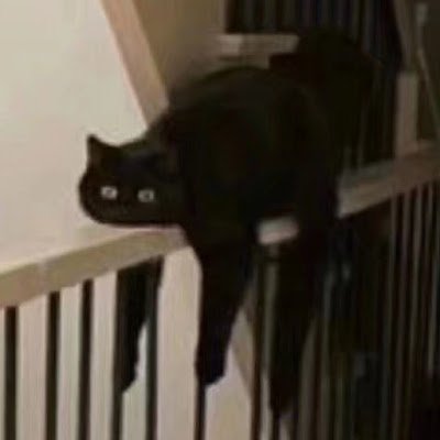 shuanerhu's profile picture. 