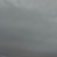 cryptoschism (@cryptoschism) 's Twitter Profile