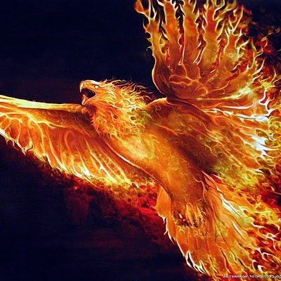 Fenixga18869967's profile picture. 