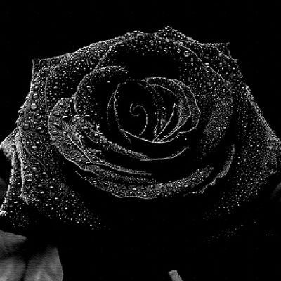 pcrssLgoCb0ZmbM's profile picture. 