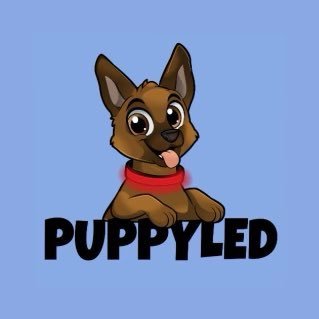 1.4M dogs die a year due to road accidents. Make your dog safe & stylish with one of our high quality LED collars. 🐶❤️