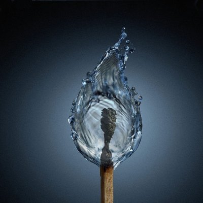 jaydnden's profile picture. 