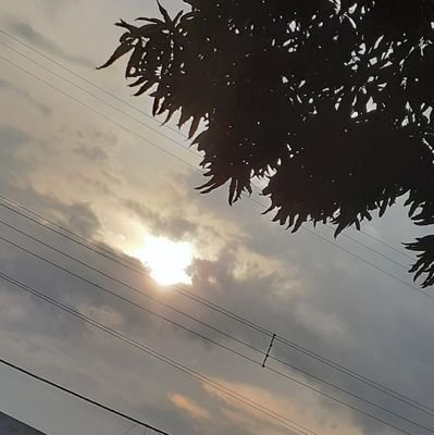 AlineC95's profile picture. O fim e apenas o início
🍍🦉🐛