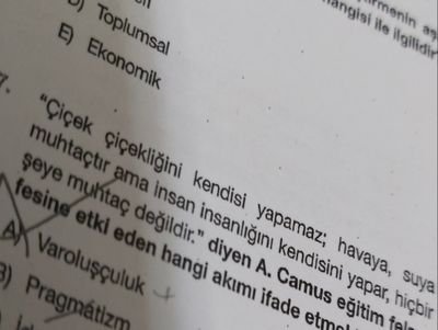 Hayallerim kadar güzel değildi çocukluğum...
üni var yüksekL var tez devam . Doğru olmayan herşeyin çöplüğü twtr çokta ciddiye alma