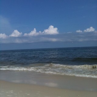 vdhamil's profile picture. 