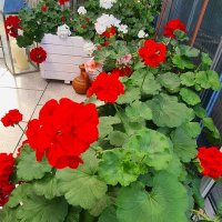 O10 (@ioers) 's Twitter Profile