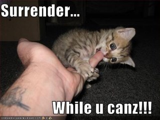 hockeystar4488's profile picture. 