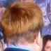 Frank Luntz’s Toupee (@franktoupee) Twitter profile photo Frank Luntz’s Toupee (@franktoupee) Twitter profile photo