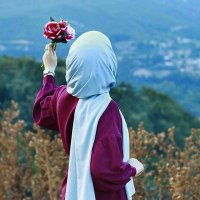Sifat Rehmani (@sf786r) 's Twitter Profile