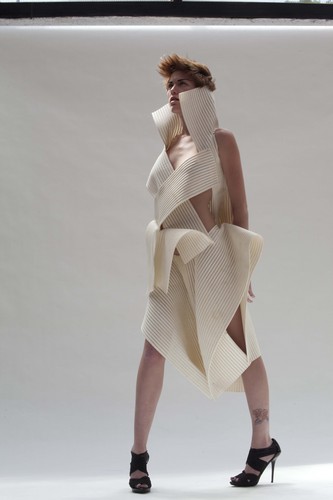 Artist/ Architectural polyurethane wear innovator/futurist
