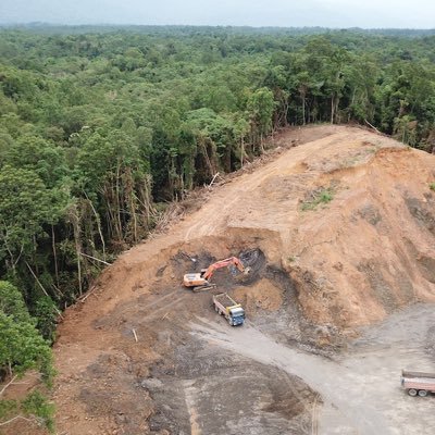 savetheforest23's profile picture. STOP DEFORESTATION • Educate • Engage • Environment