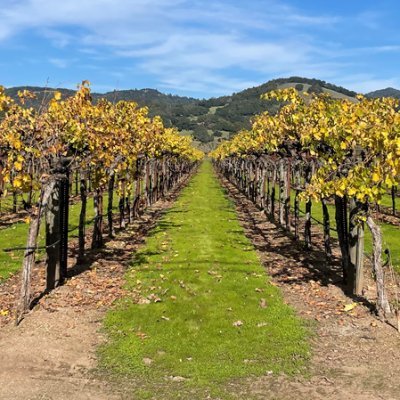 tnewsworthy's profile picture. 