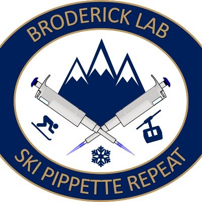 Bioinorganic chemistry lab at Montana State University. Totally radical. Also, we ski. And fish. And hike. And camp. Lab-run account.