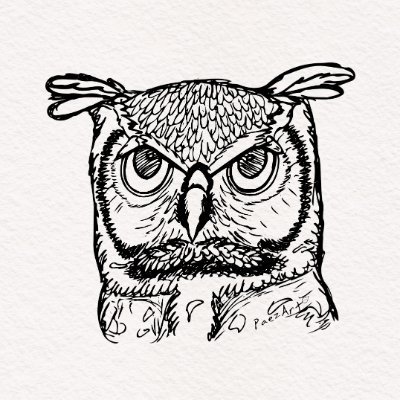 ArtPaez's profile picture. 🌿Nature #Artist & #Illustrator | Coffee fanatic ☕️ | Crazy Chicken Lady🐓 | 🕷Spider rescuer😆 #FOLLOW