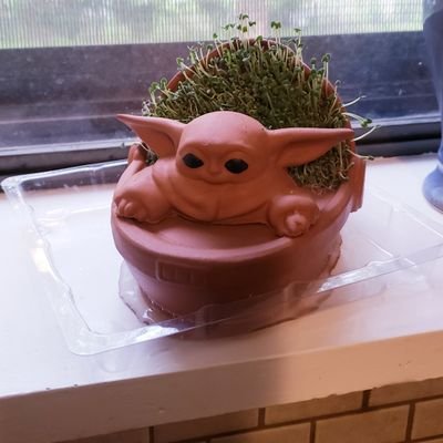 brainspurtz's profile picture. 