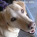 Jim Addis (@jimaddis2) Twitter profile photo Jim Addis (@jimaddis2) Twitter profile photo